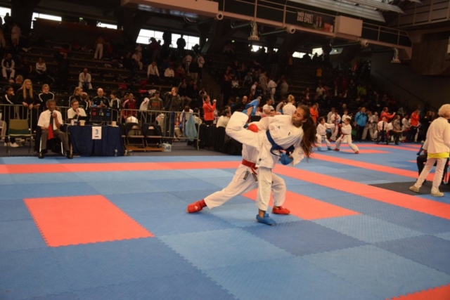 Bonzai Cup 2017 22256807_1651122174962367_7610034520040863692_o
