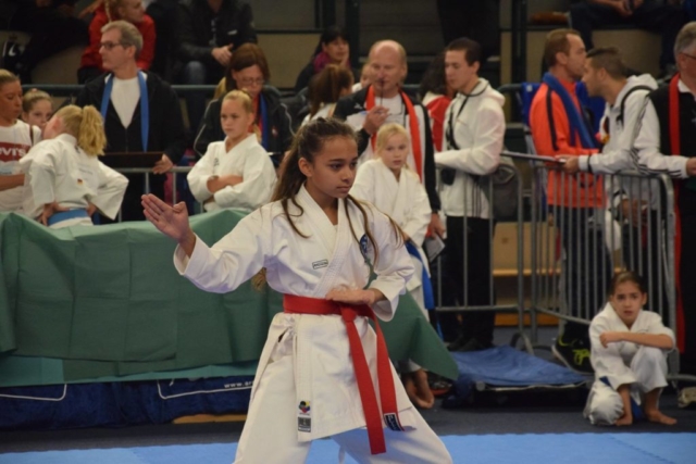 Bonzai Cup 2017 22291365_1651121078295810_6834621907648689543_o