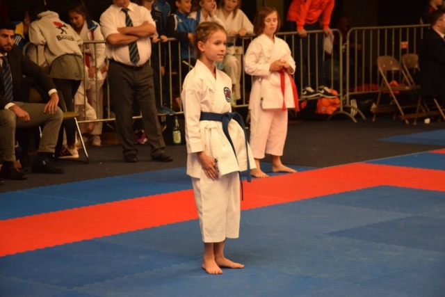 Bonzai Cup 2017 22339585_1651120964962488_2803093175628875080_o