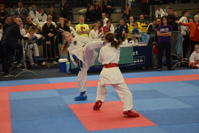 Bonzai Cup 2017 22382292_1651121981629053_3823821496903378711_o